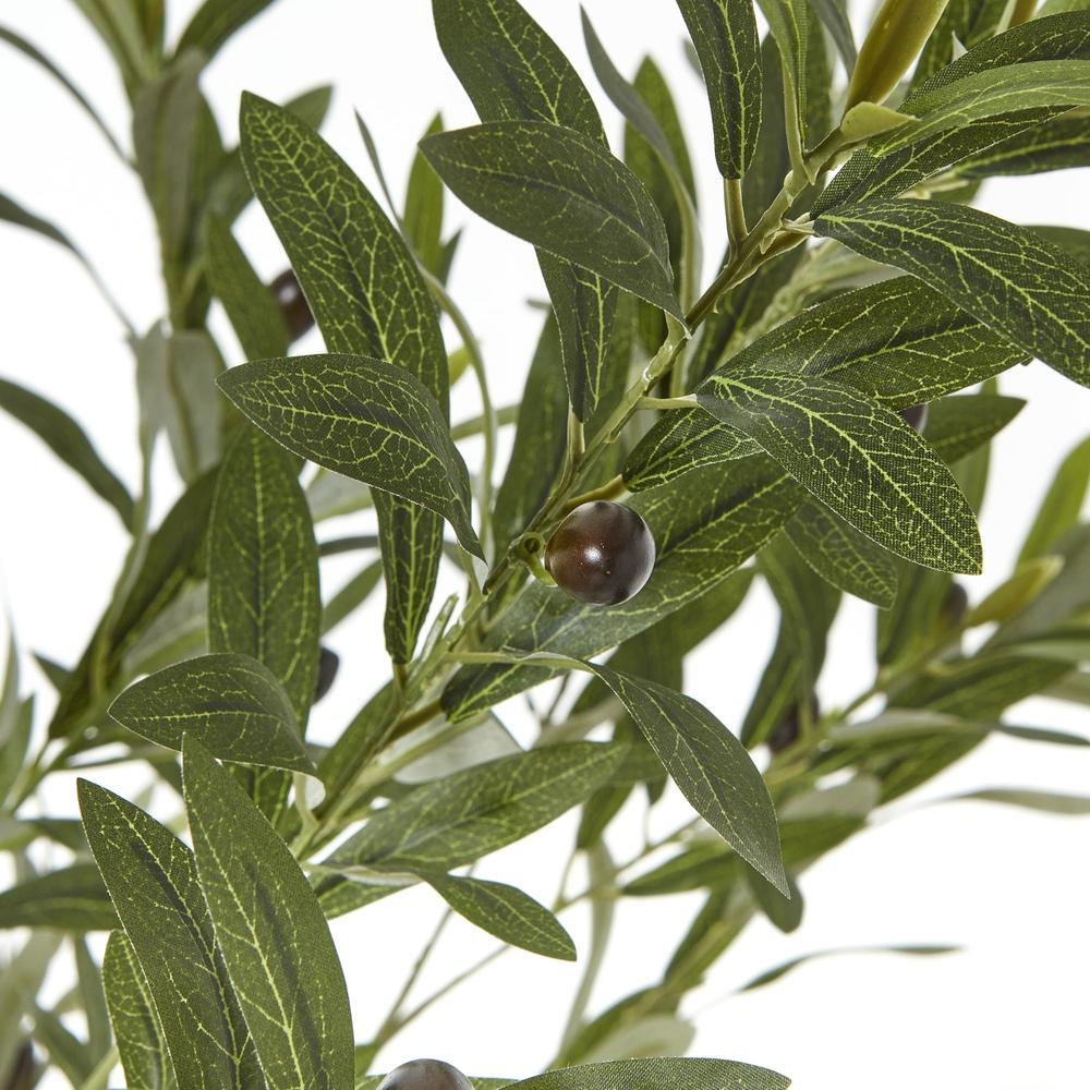 Apulia Olive Tree In White Pot Small