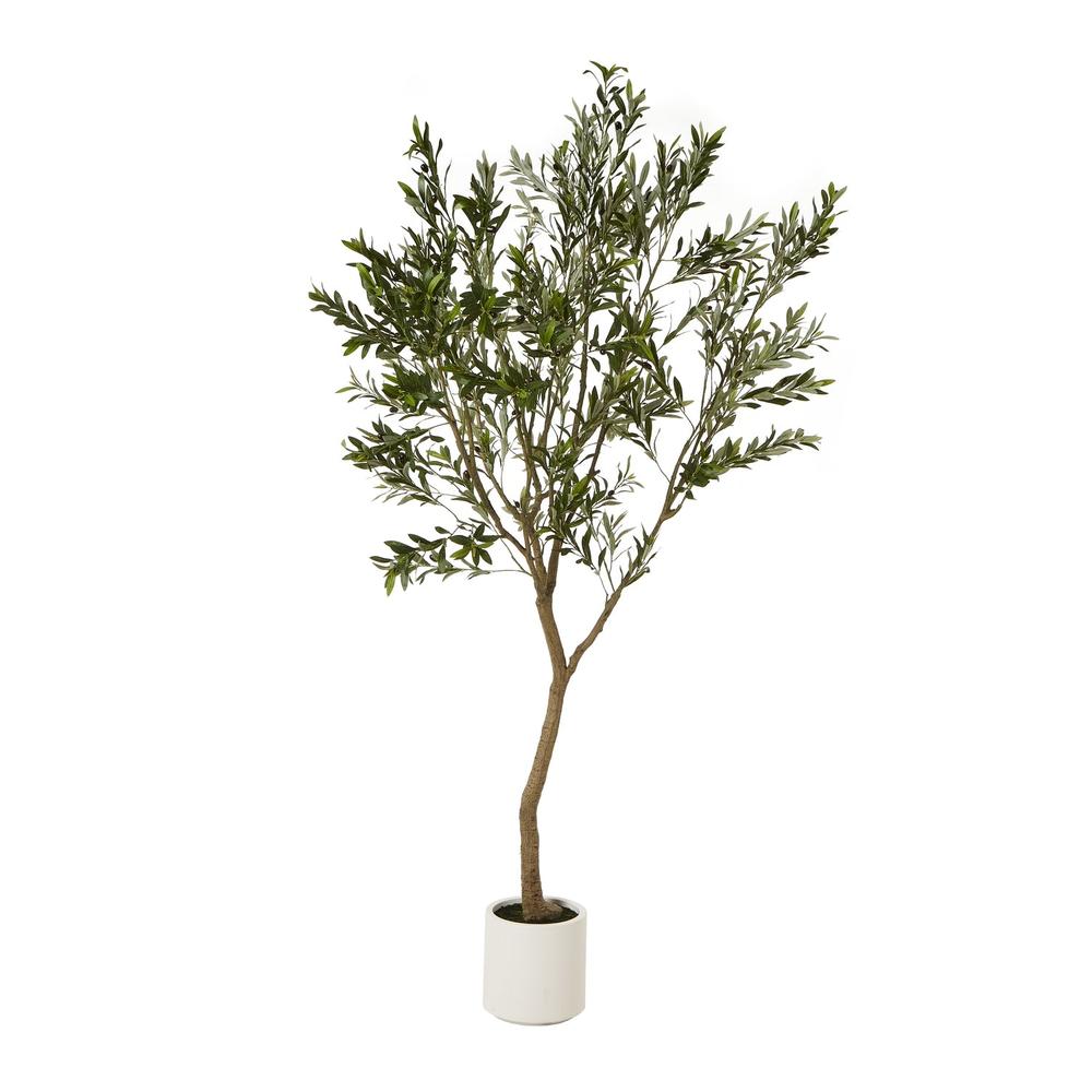 Apulia Olive Tree In White Pot Large
