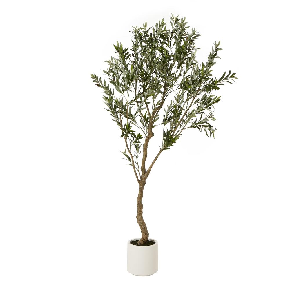 Apulia Olive Tree In White Pot Medium