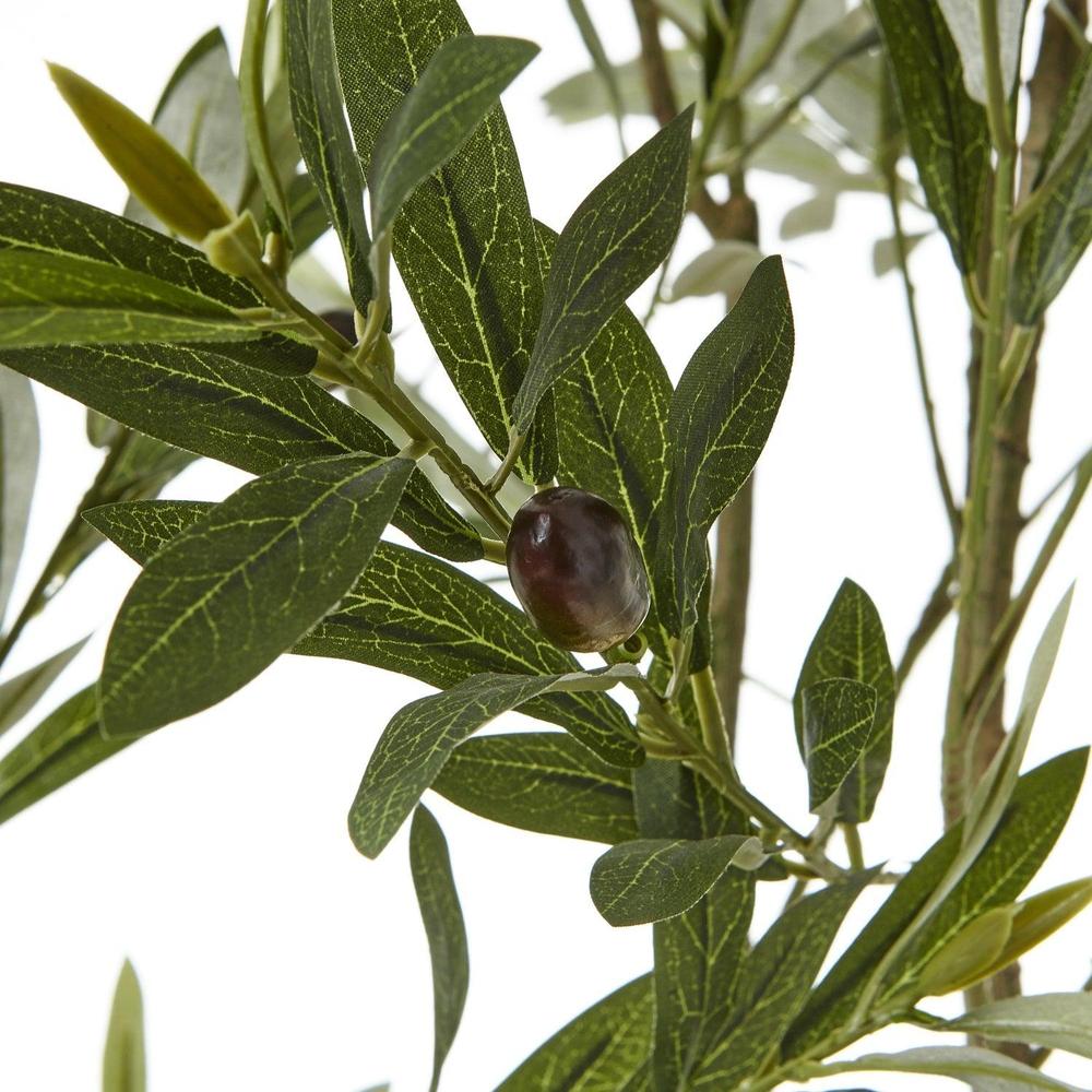 Apulia Olive Tree In White Pot Medium