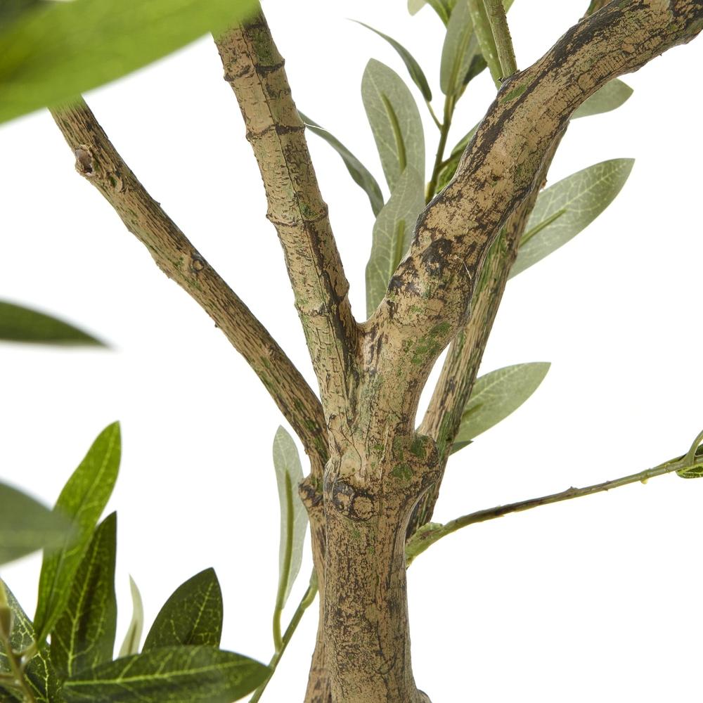 Apulia Olive Tree In White Pot Medium