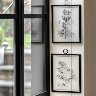 x2 Petiole Art