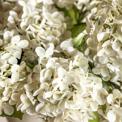 Vintage Hydrangea Floral Bunch Ivory