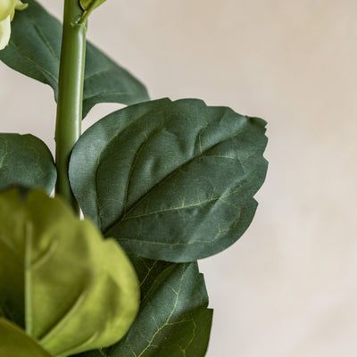 Vintage Hydrandea Bunch White