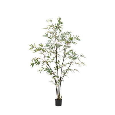 Potted Bamboo Tree Large
