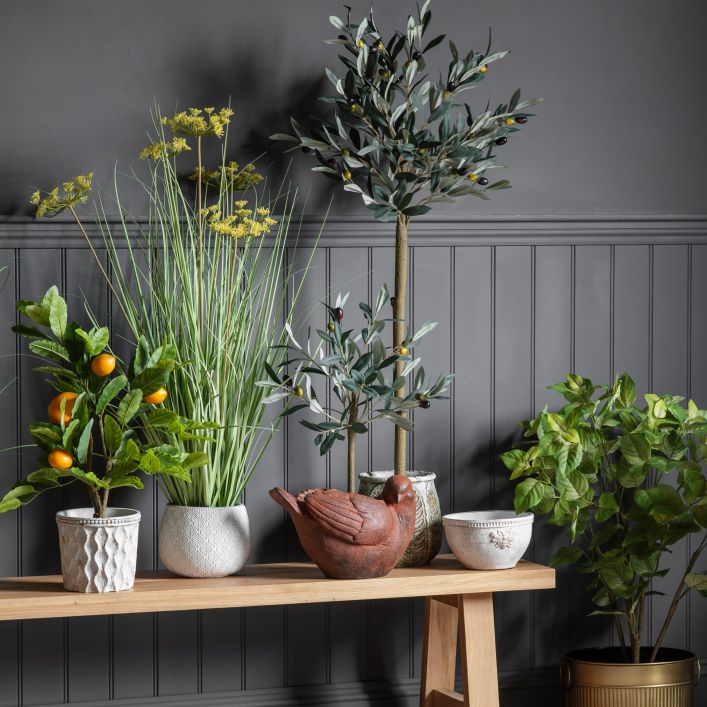 x2 Olive Tree Set
