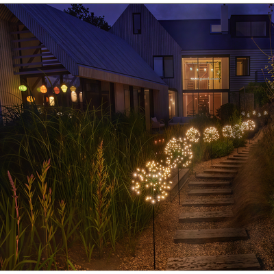 8x Solar Lantern & 12x Dandelion Pack