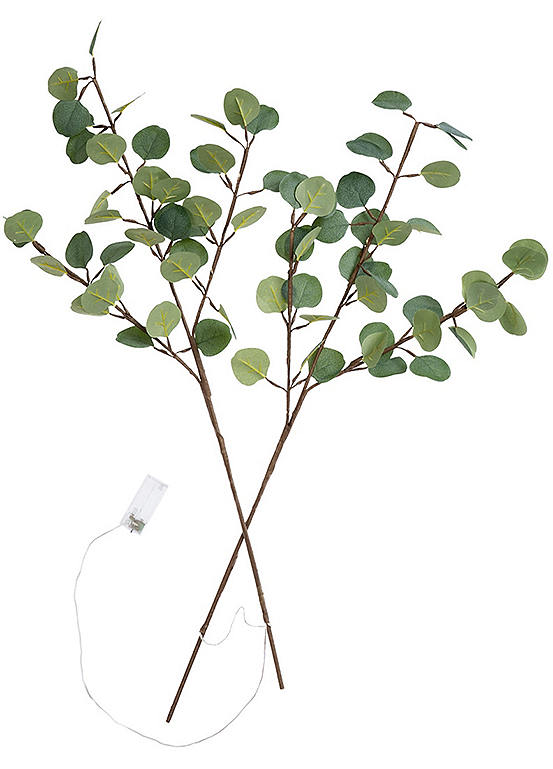 4x Eucalyptus Branch With Lights