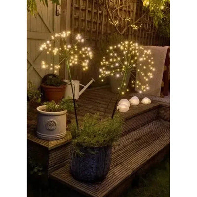 8x Solar Lantern & 12x Dandelion Pack