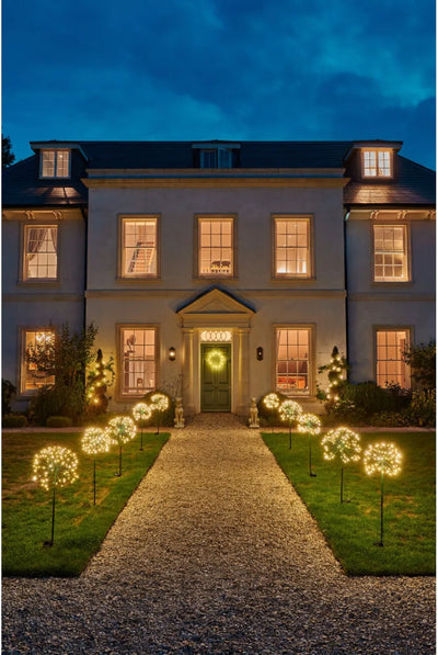 x6 Solar Dandelion Green