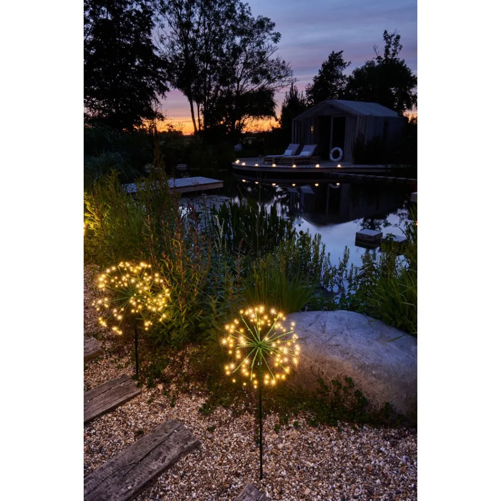 x6 Solar Dandelion Green