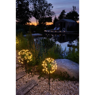 x6 Solar Dandelion Green