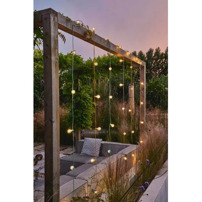 Festoon Yellow