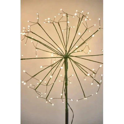 x6 Solar Dandelion Green