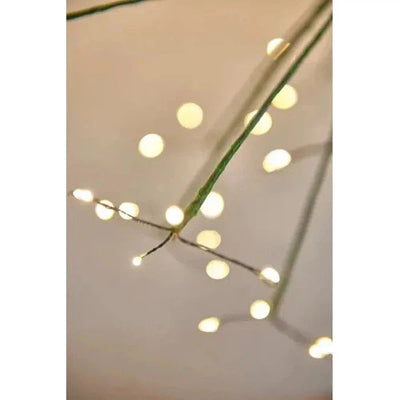 x6 Solar Dandelion Green