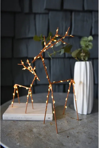 Festive Wire Lights Pack