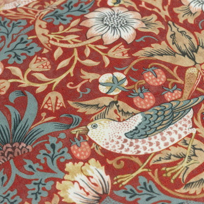 Strawberry Thief Piped Outdoor Cushion Berry