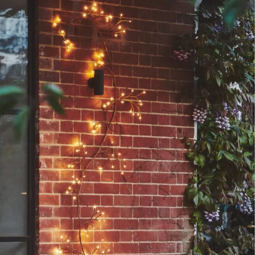 x3 Ivy Branch Lights