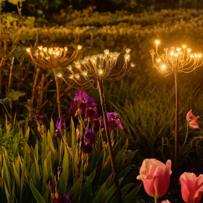 x24 Wild Fennel Lights
