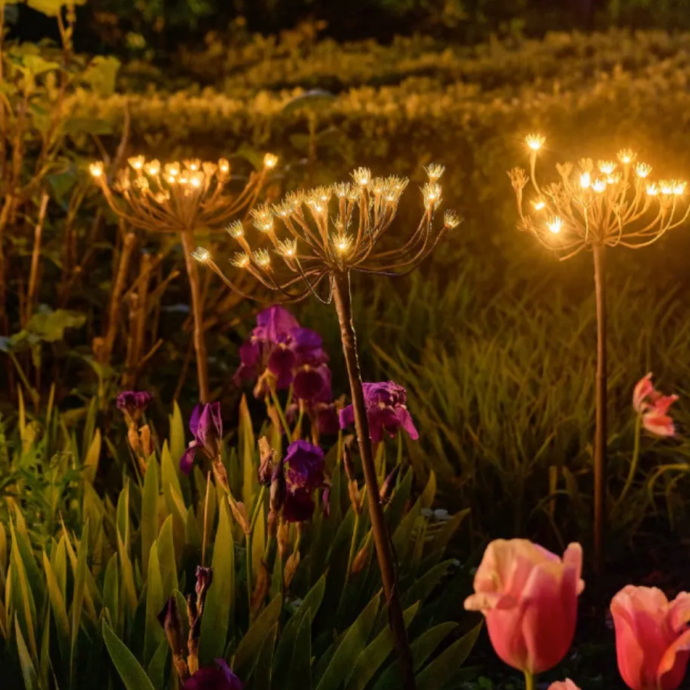 x12 Wild Fennel Lights