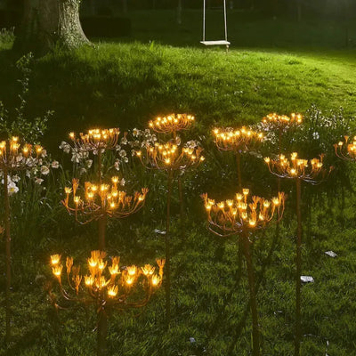 x12 Wild Fennel Lights