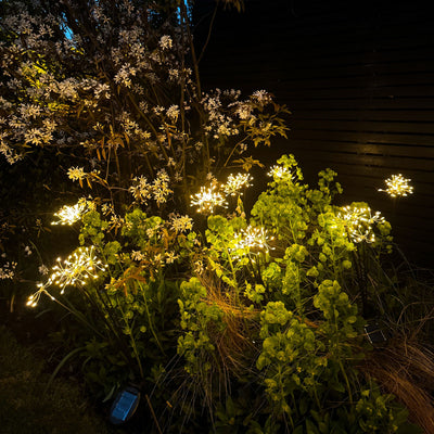x16 Solar Starburst Cluster Stake Lights