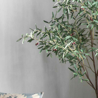 Everlasting Olive Tree Tall - NEST & FLOWERS