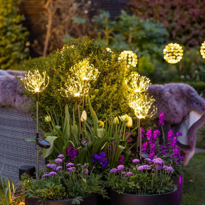 x6 Starburst Peony Stake Lights