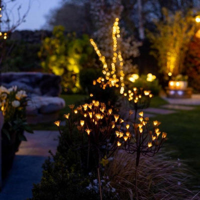 x6 Wild Fennel Lights