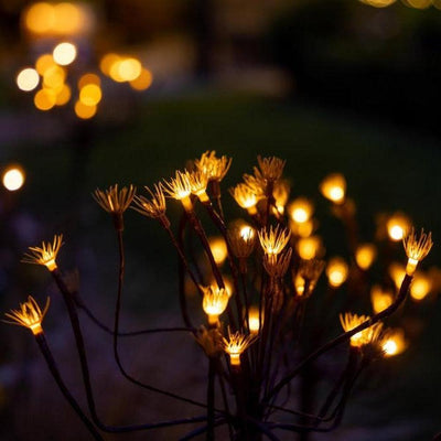 x6 Wild Fennel Lights