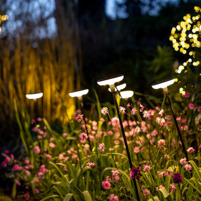 x16 Somerset Swaying Solar Garden Lights