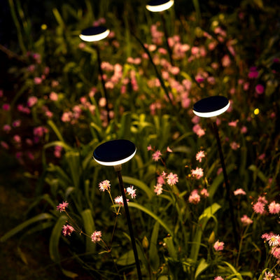 x16 Somerset Swaying Solar Garden Lights