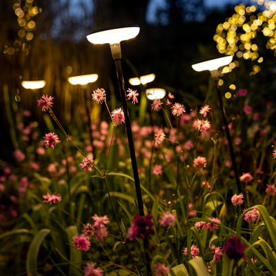 x16 Somerset Swaying Solar Garden Lights