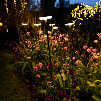x16 Somerset Swaying Solar Garden Lights