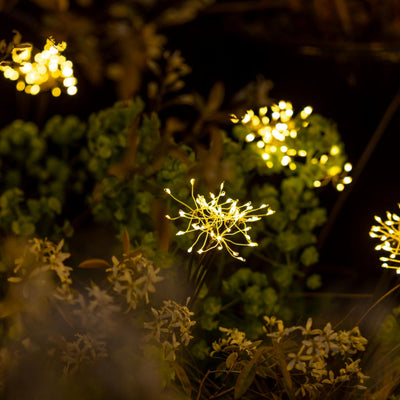 x16 Solar Starburst Cluster Stake Lights