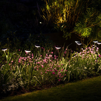 x16 Somerset Swaying Solar Garden Lights