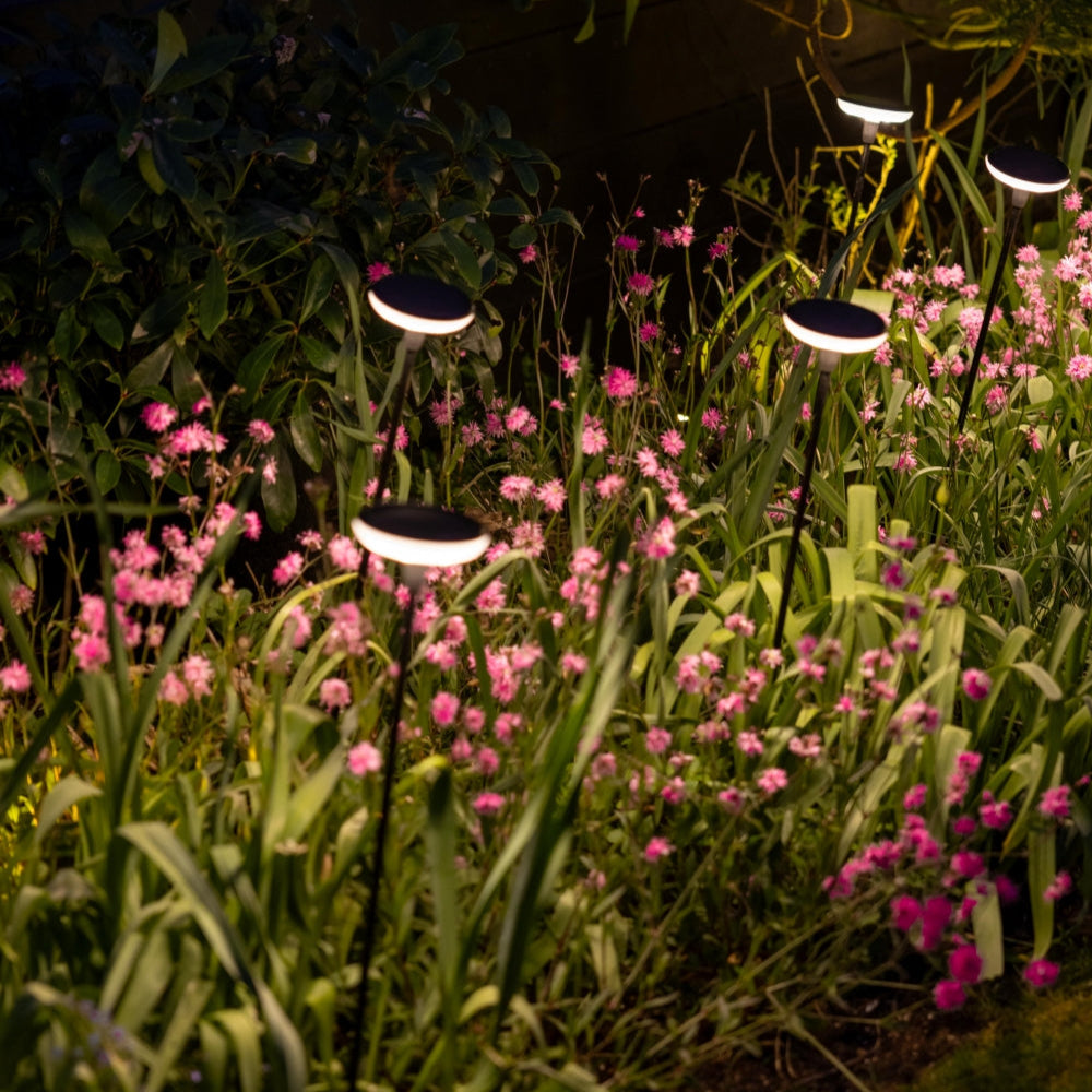 x16 Somerset Swaying Solar Garden Lights