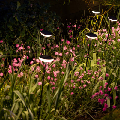 x16 Somerset Swaying Solar Garden Lights