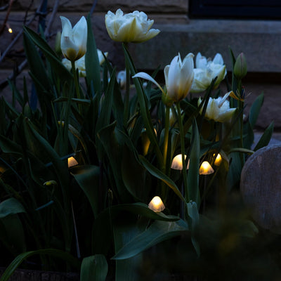 Tall Mushroom Solar Lights
