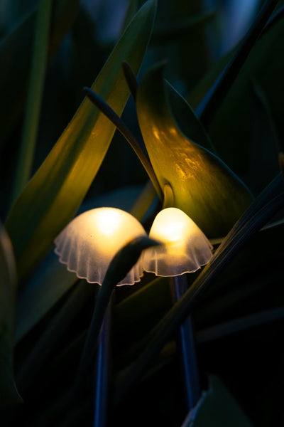 Tall Mushroom Solar Lights