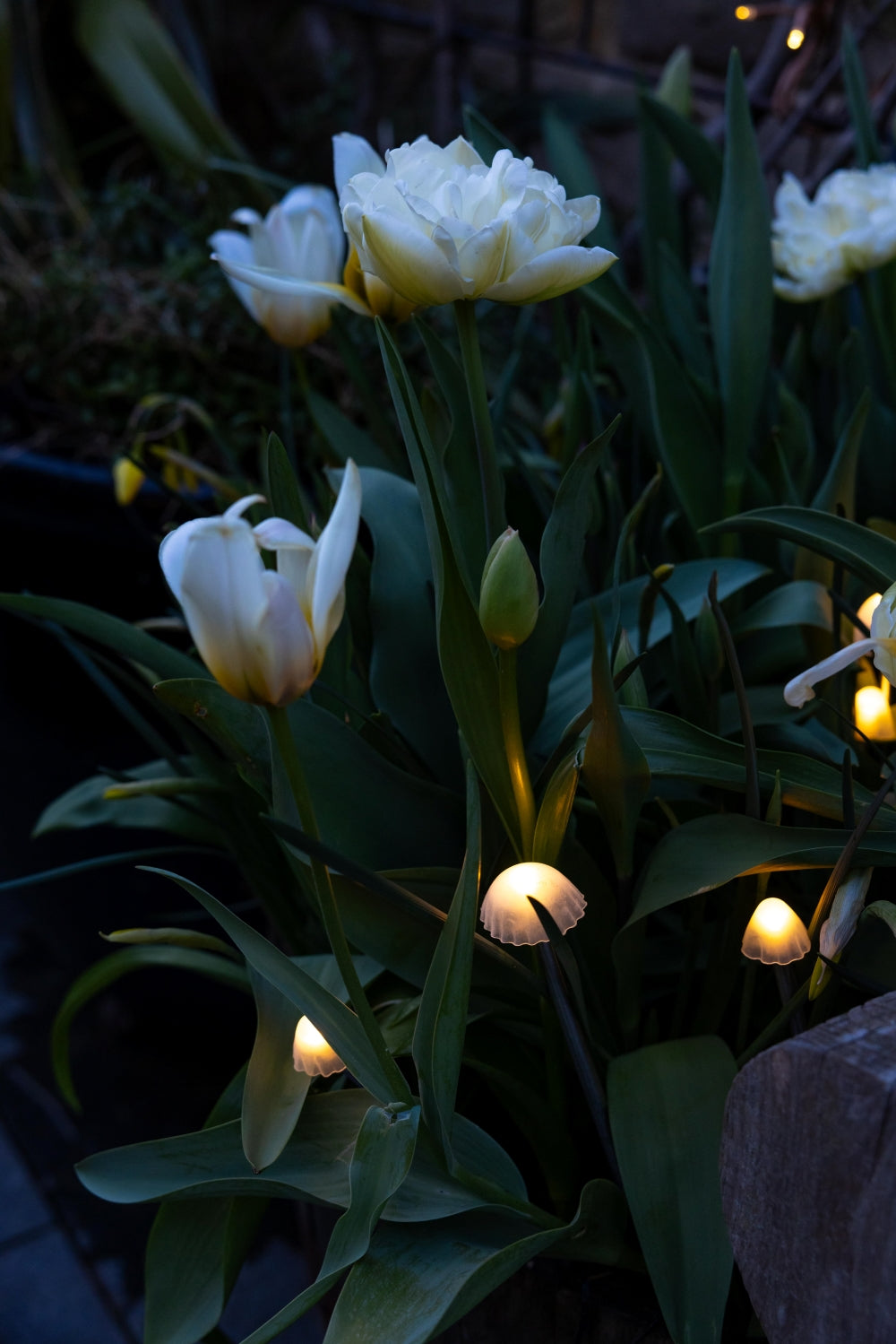 Tall Mushroom Solar Lights