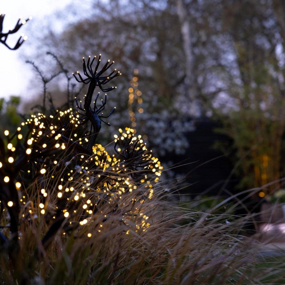 x3 Starburst Branches