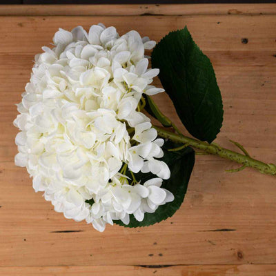 Oversized White Hydrangea x3