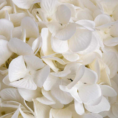 Oversized White Hydrangea x3