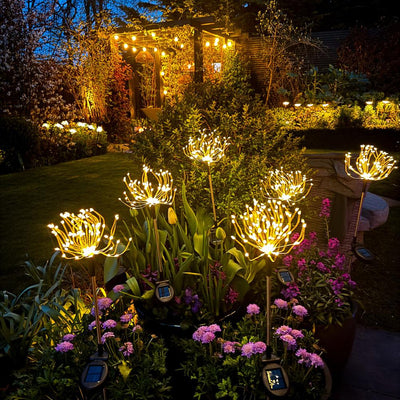 x6 Starburst Peony Stake Lights