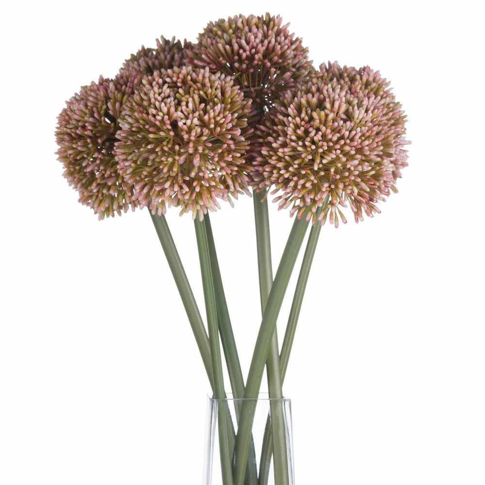 Pink Allium x3
