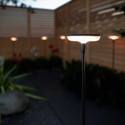 x16 Somerset Swaying Solar Garden Lights