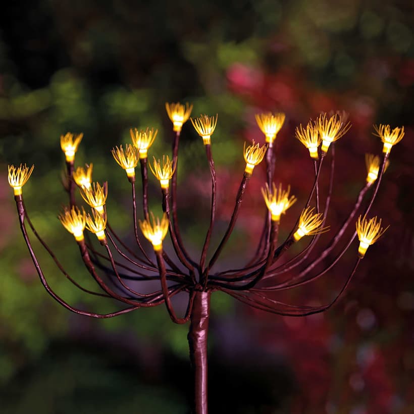 x6 Wild Fennel Lights