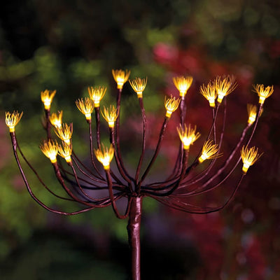x6 Wild Fennel Lights