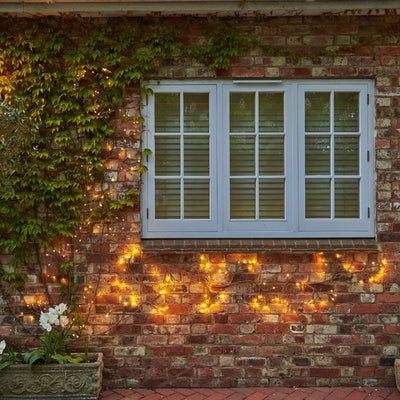 x3 Ivy Branch Lights